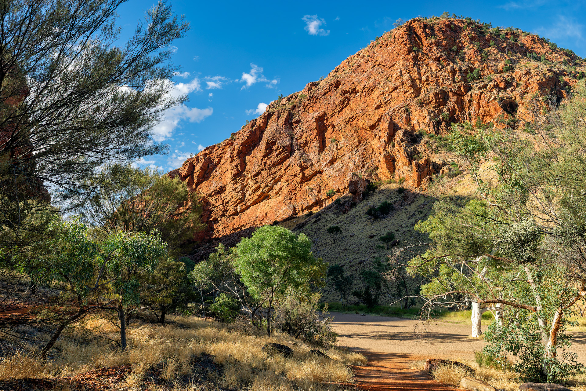 Das Rote Zentrum in Zentralaustralien hat seinen Namen durch die rote Farbe von Sand und Felsen. Ursache dafür ist der hohe Eisengehalt im Boden, der an der Luft oxidiert und der Landschaft eine rostige, rötlich-braune Farbe verleiht. Der berühmteste Ort in dieser Gegend ist ohne Zweifel Uluru (auch als Ayers Rock bezeichnet), ein riesiger Monolith im Uluru-Kata Tjuta Nationalpark. Größter Ort ist Alice Springs.